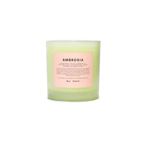 Boy Smells Ambrosia Candle