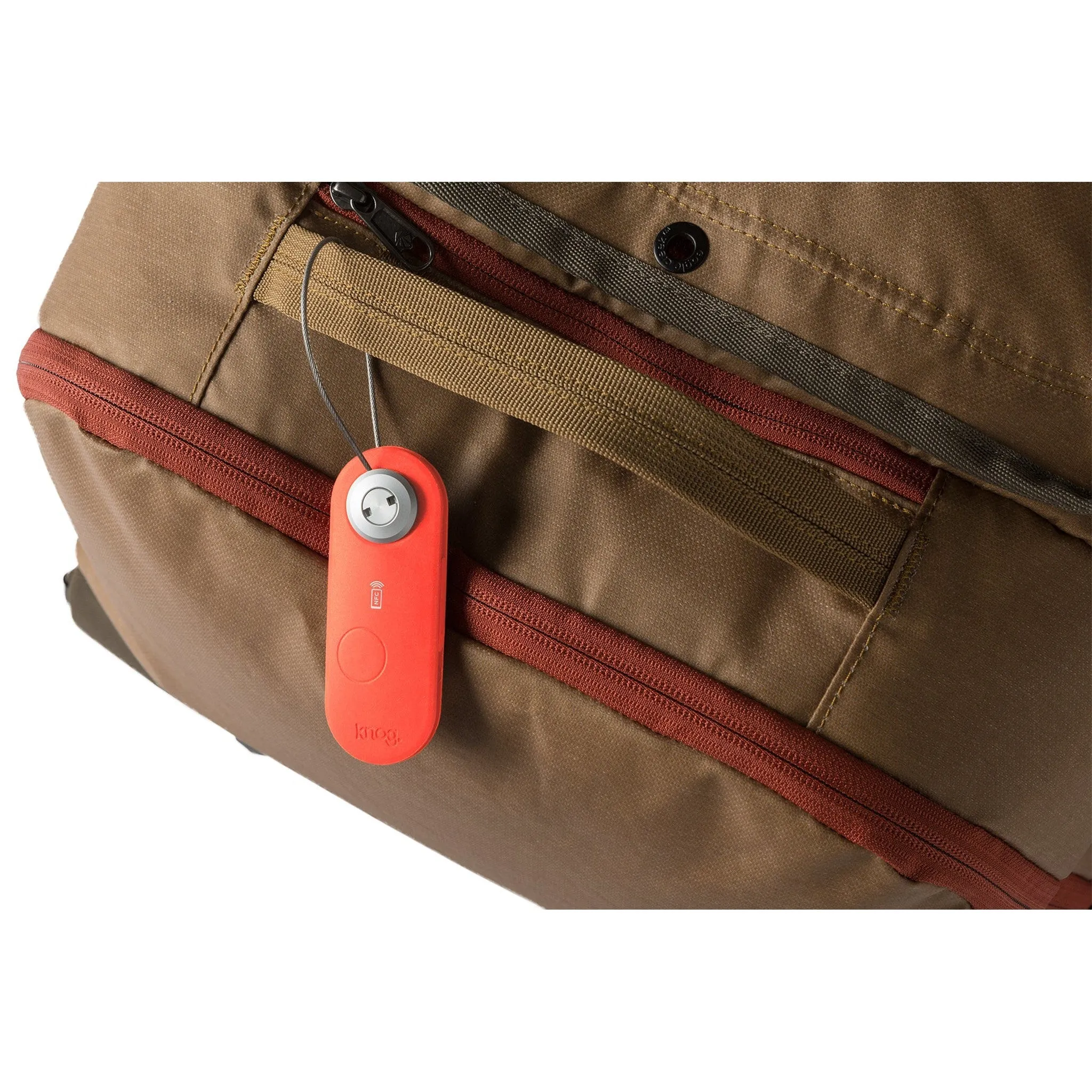 Eagle Creek Scout Travel Smart Luggage Tag