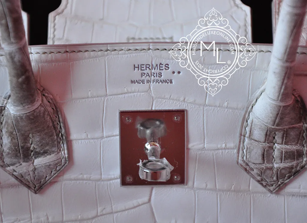 Hermes Blanc Himalayan Himalaya Birkin 30 White Crocodile