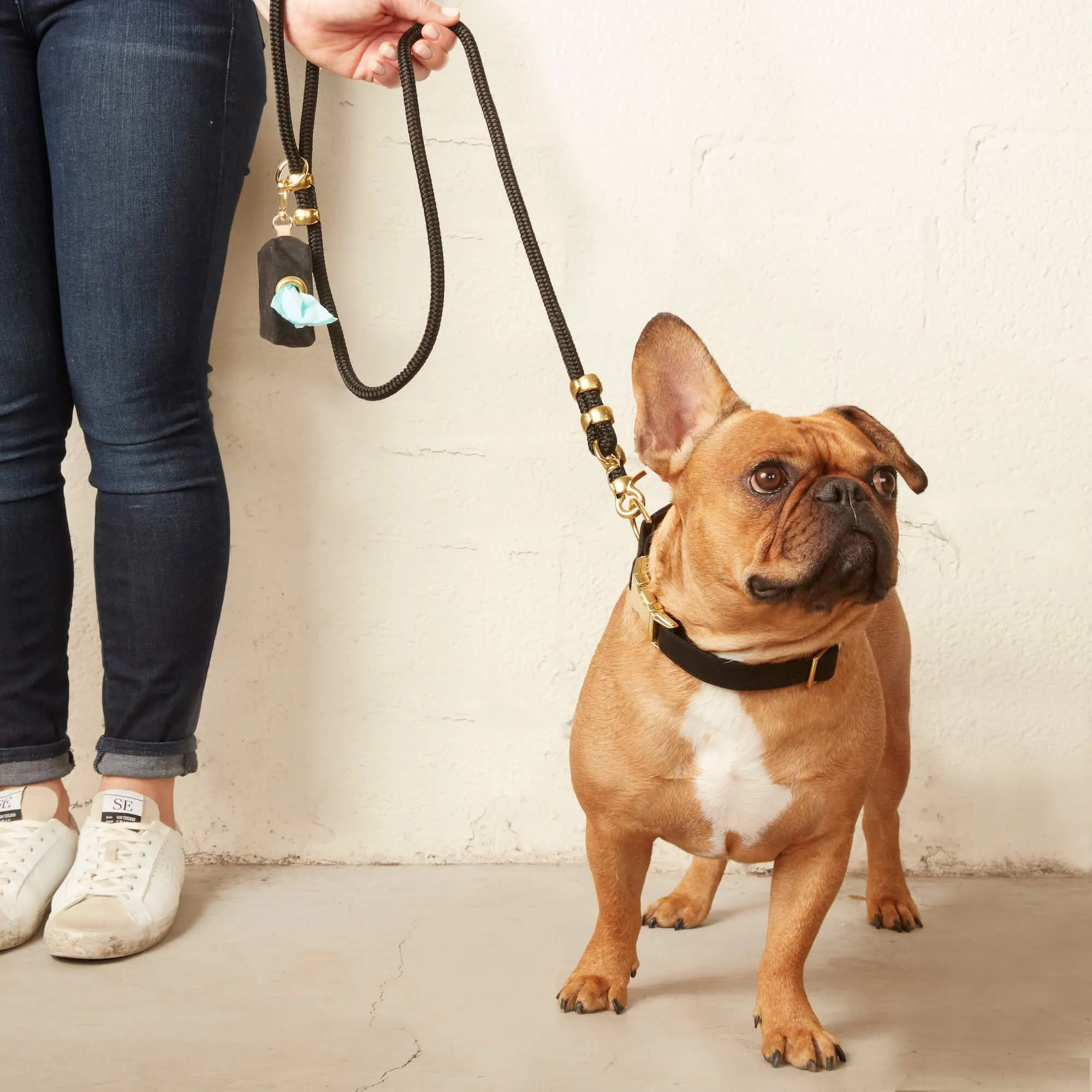 Onyx Collar Walk Set